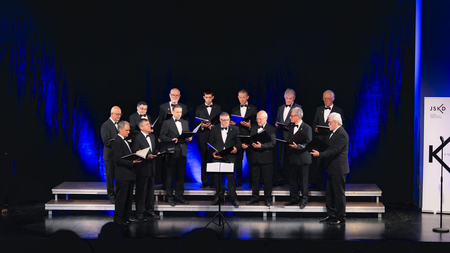 Območna revija odraslih pevskih zasedb JSKD OI Kamnik  (9)